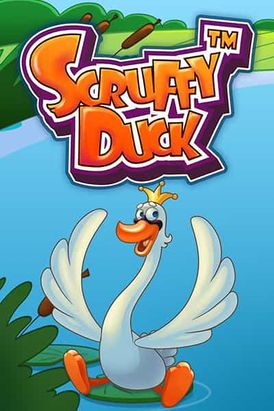 Scruffy Duck