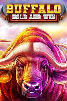 Buffalo Hold and Win