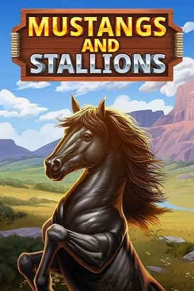 Mustang and Stallions