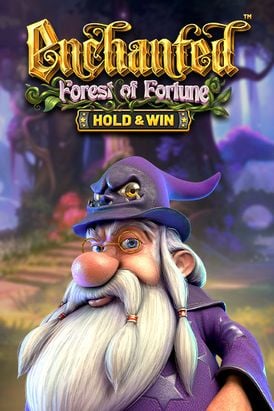 Enchanted: Forest of Fortune